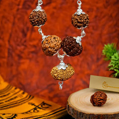 Rudraksha